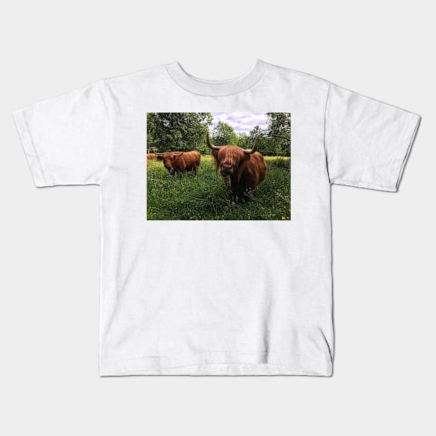 Scottish Highland Cattle Cows 2431 Kids T-Shirt by SaarelaHighland